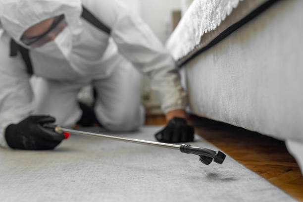 Professional Termite Control technician working in Broomfield, CO