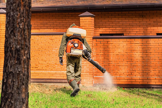 Top rated local Termite Control specialists in Broomfield, CO